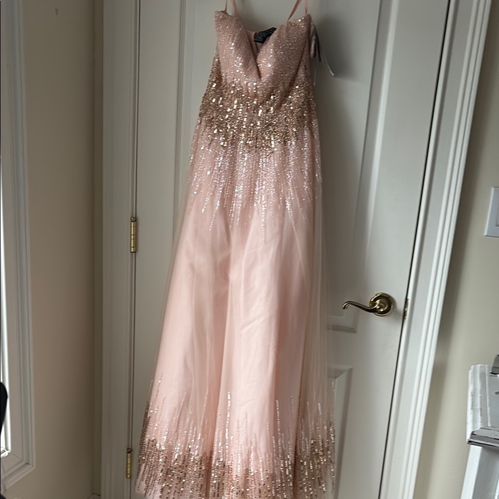 Basix Black Label Strapless sweetheart Ombré gown